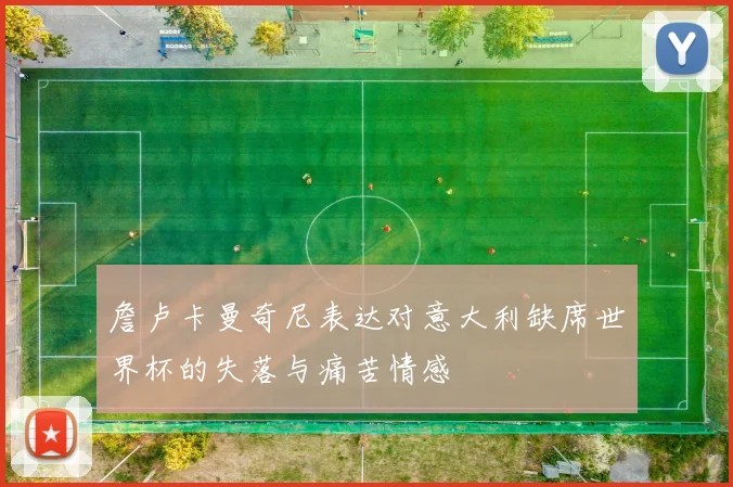 詹卢卡曼奇尼表达对意大利缺席世界杯的失落与痛苦情感